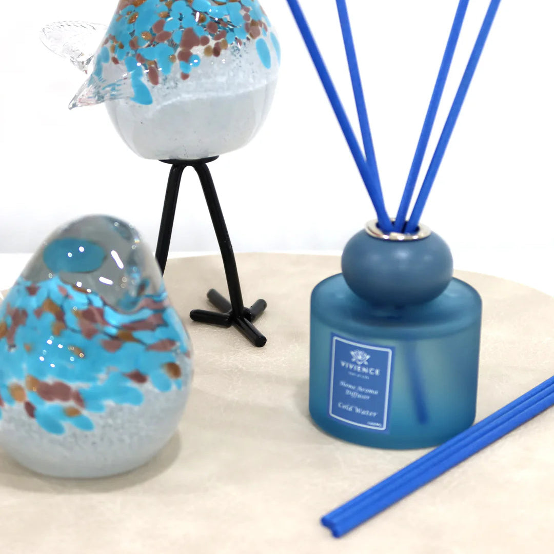 Set of 2 Diffusers - Blue & Pink