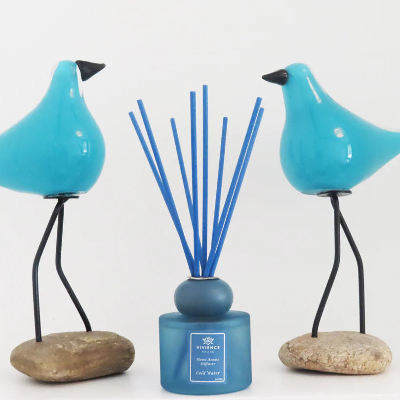 Set of 2 Diffusers - Blue & Pink