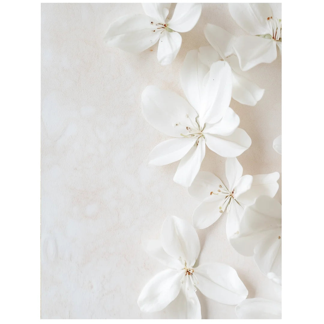 White Flower Aroma Oil