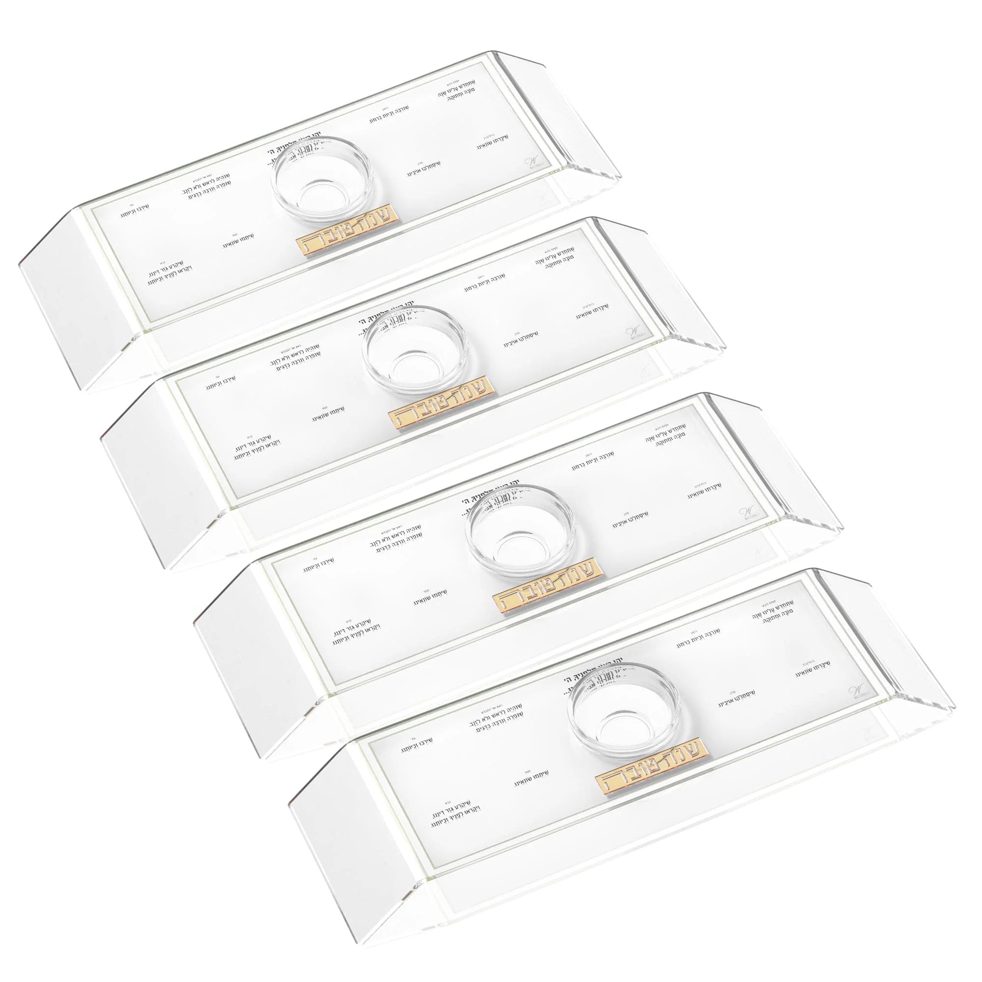 Classic 2.0 Raised Simanim Trays