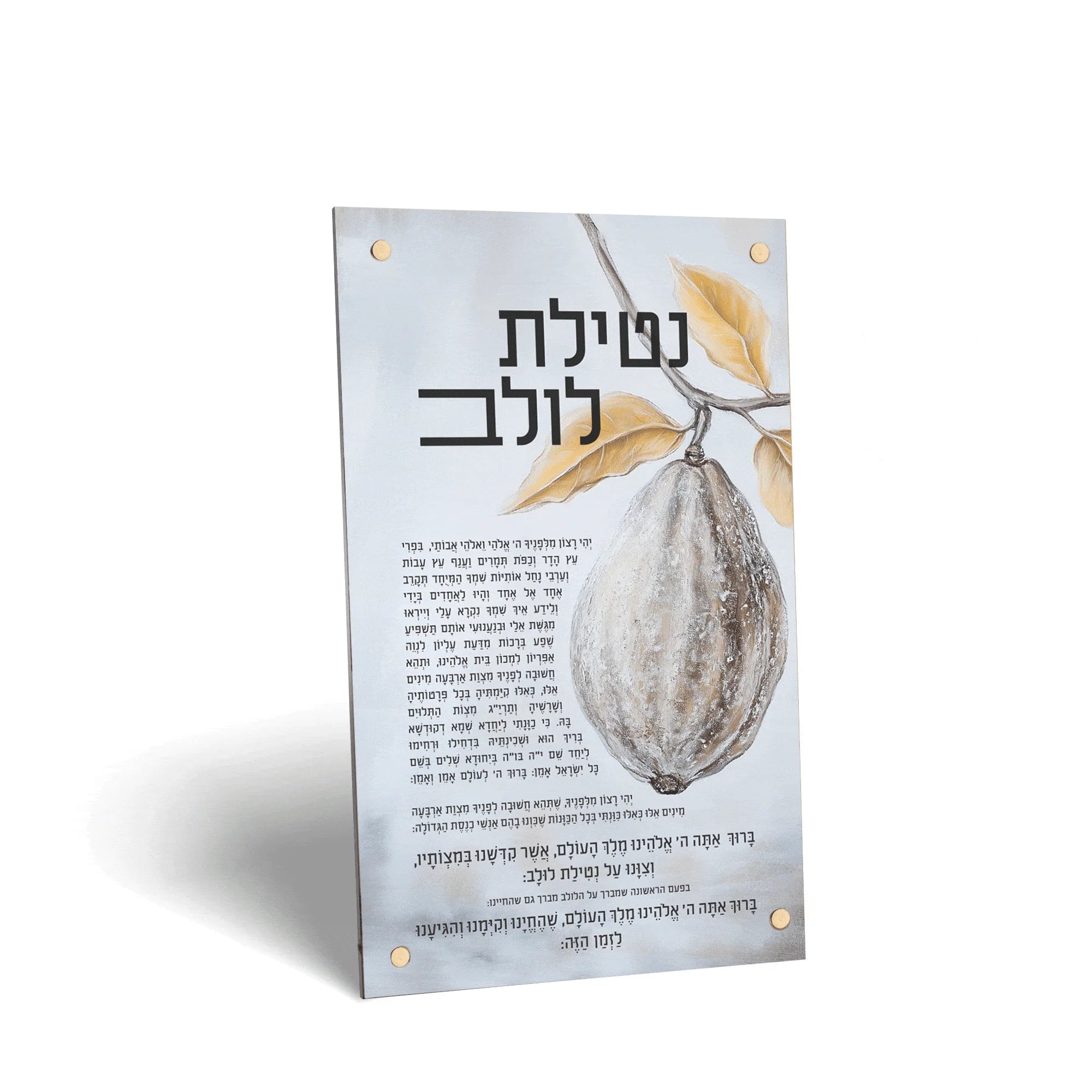 Painted by Batya Silver Sukkah Decorations