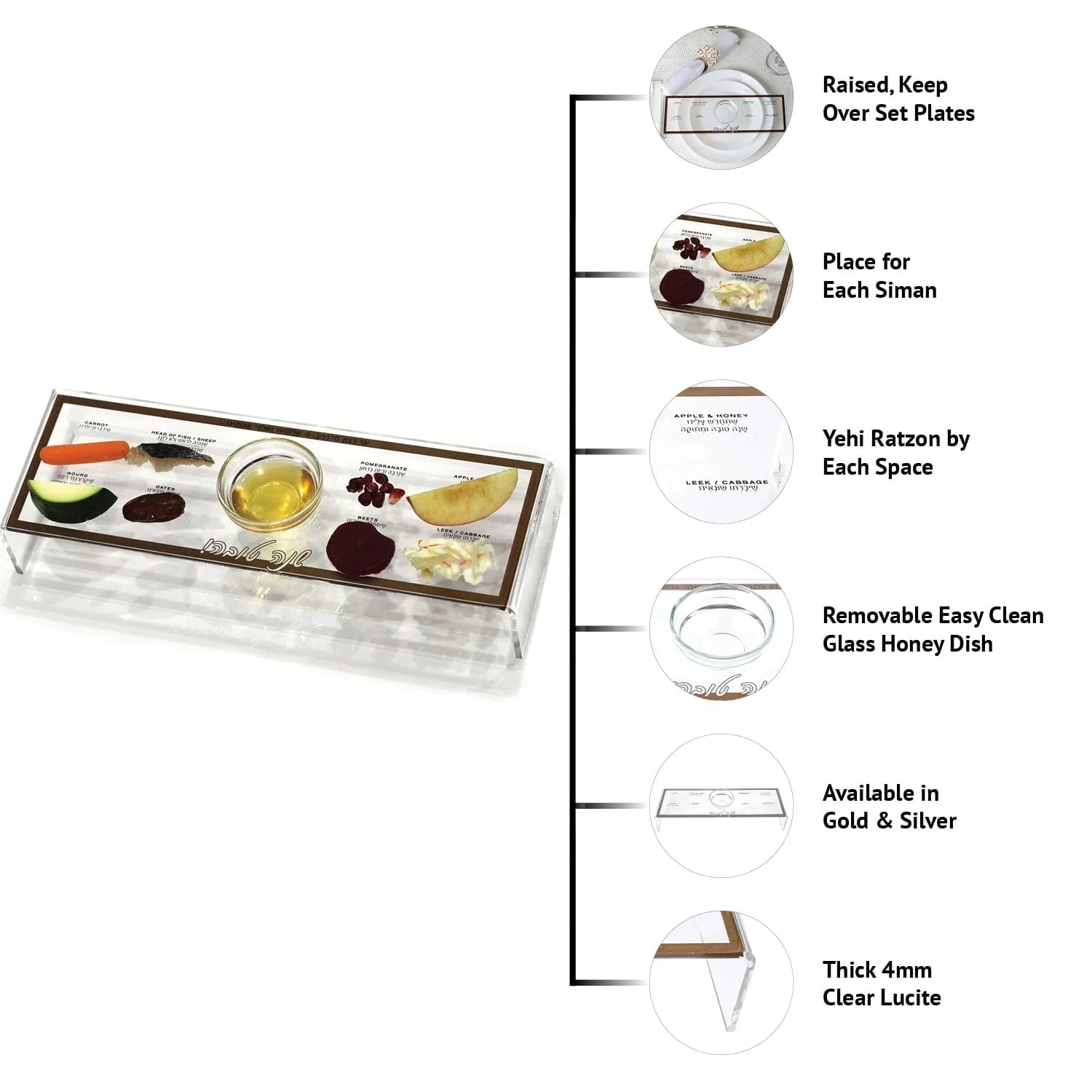 Raised Simanim Trays (4)