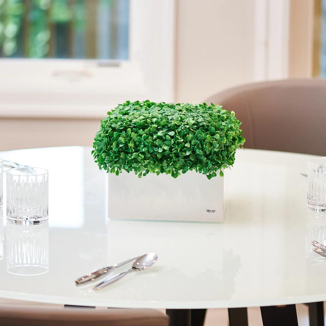 Boxwood Vase - Elegant Linen