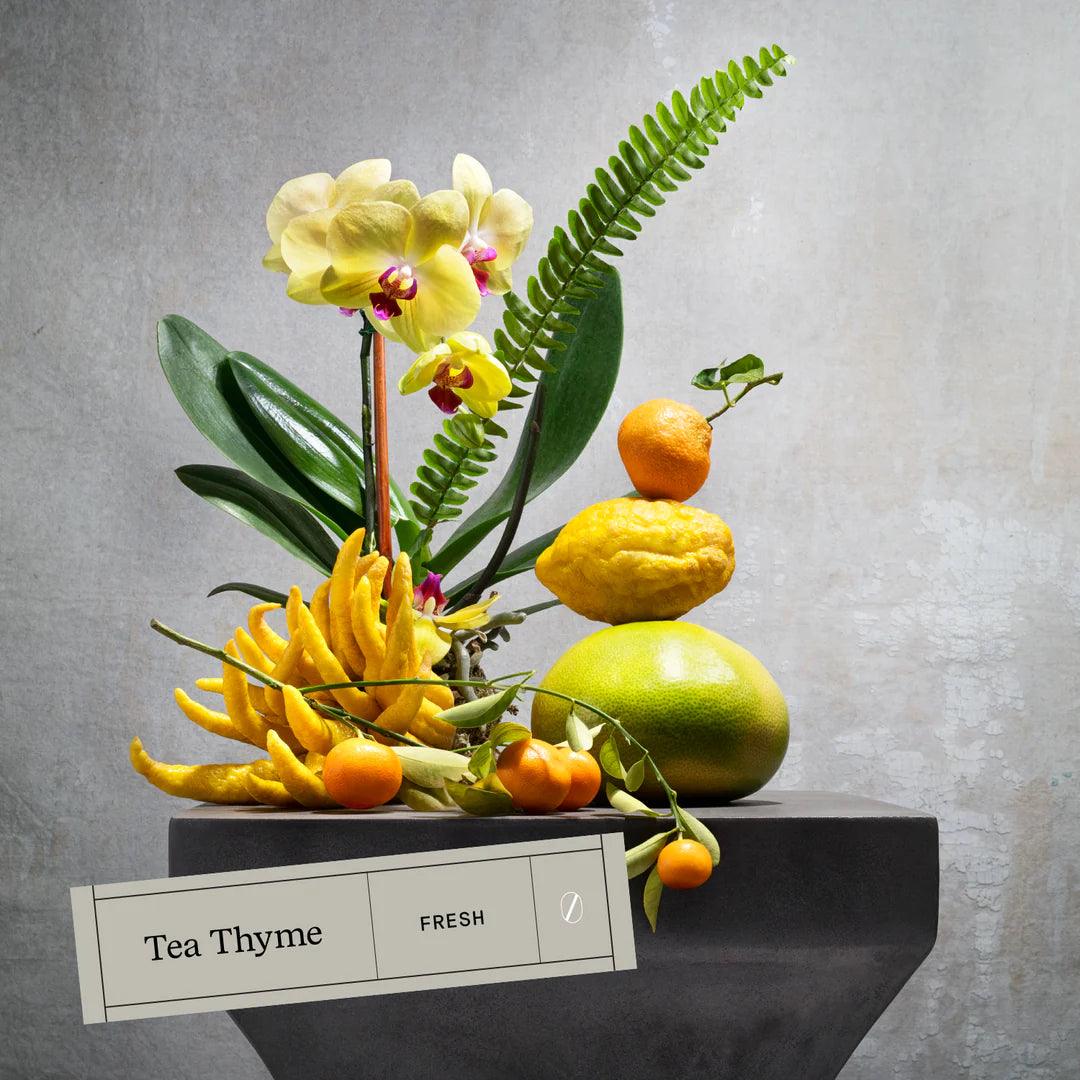 Premium Tea Thyme Aroma Oil - Elegant Linen