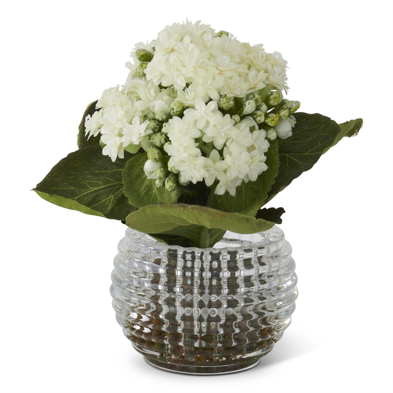 Kalanchoe Premade in Pressed Glass Vase w/Faux Moss