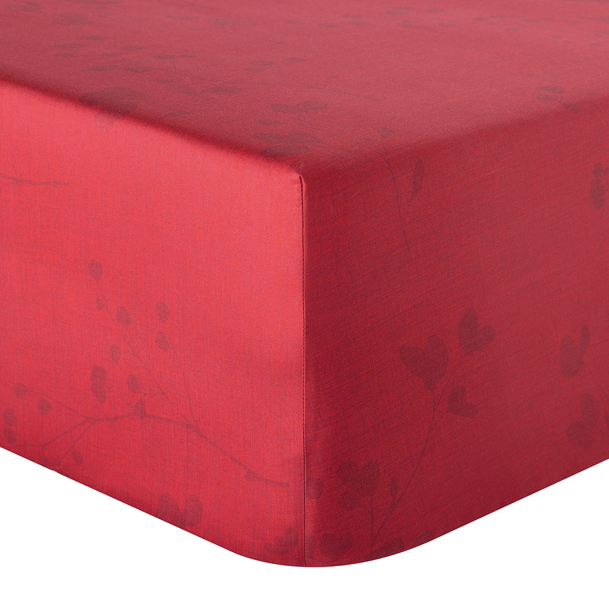 Minimaliste Collection