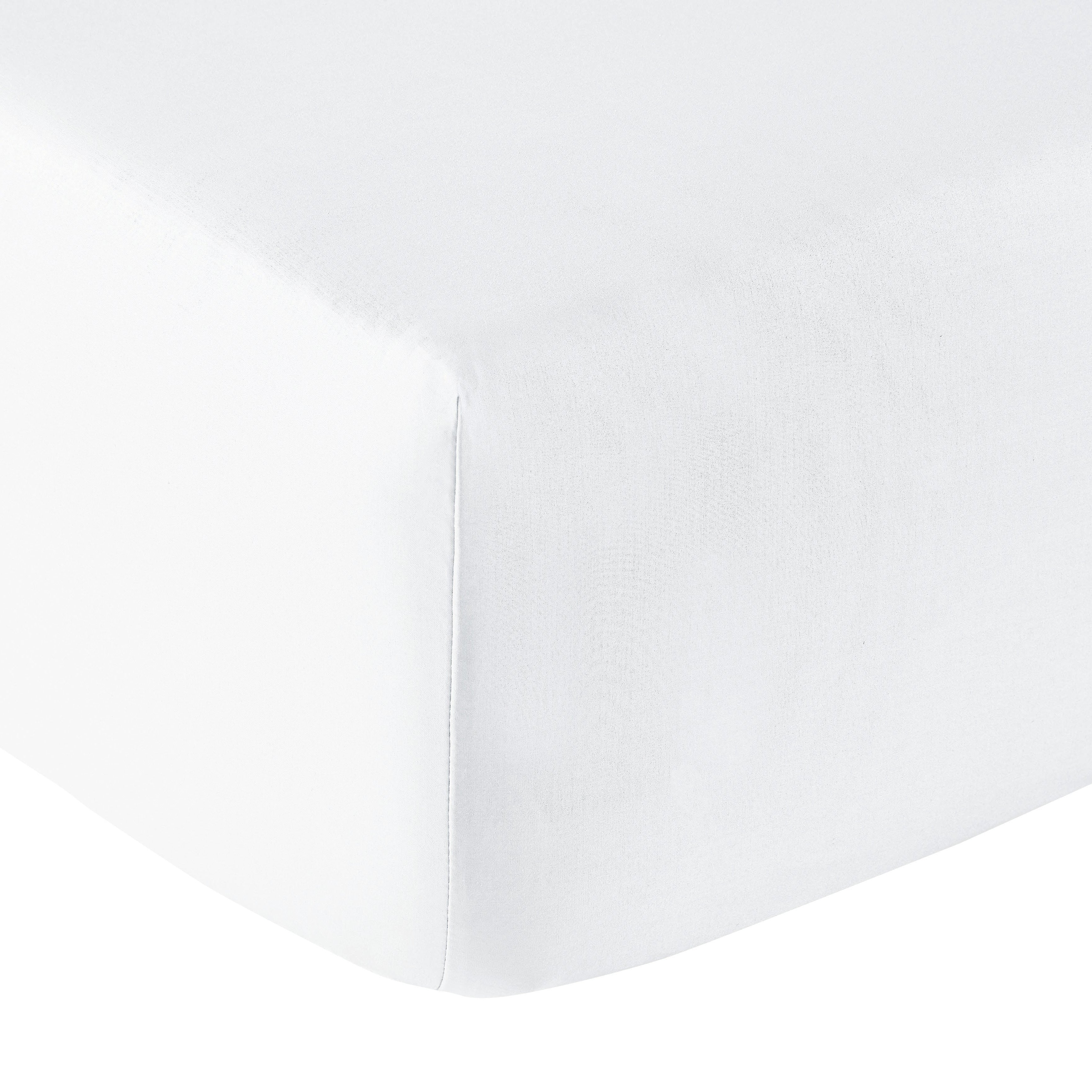 Fontainebleau Collection