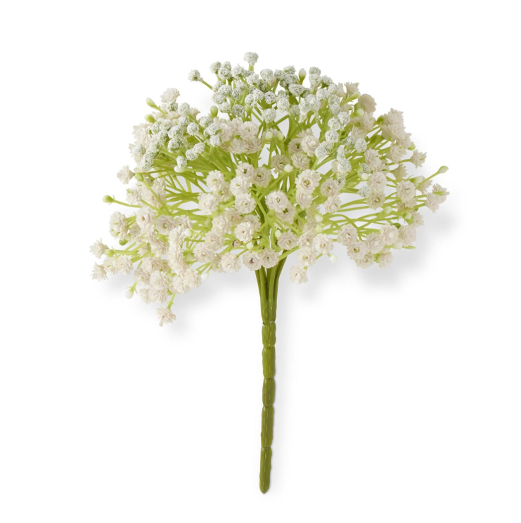 Babys Breath Pick