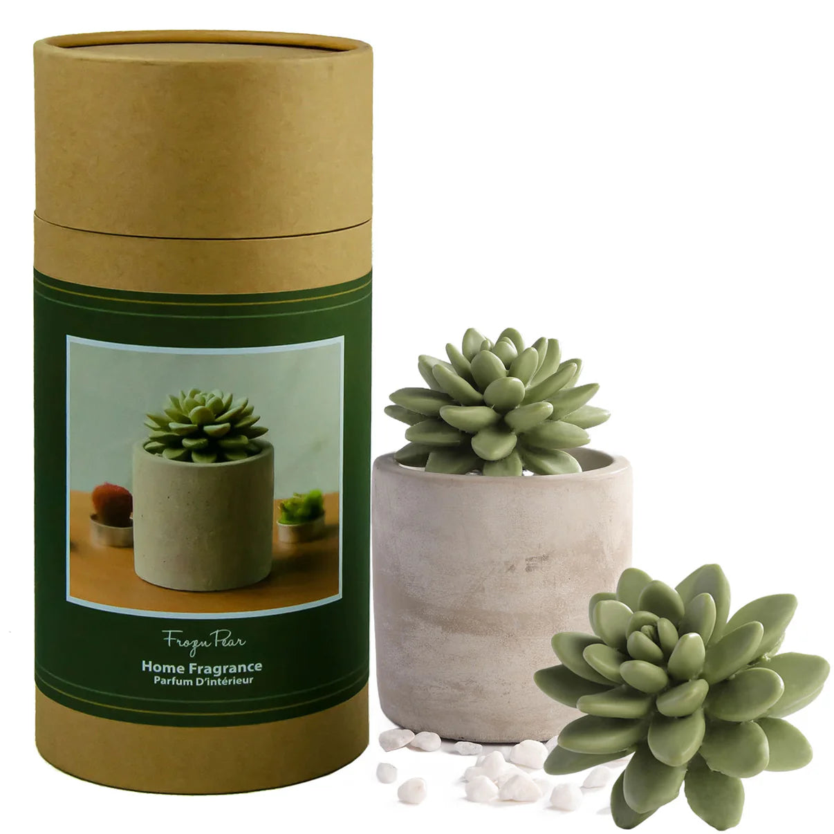 Succulent Diffuser Ceramic Planter Set - Frozen Pear