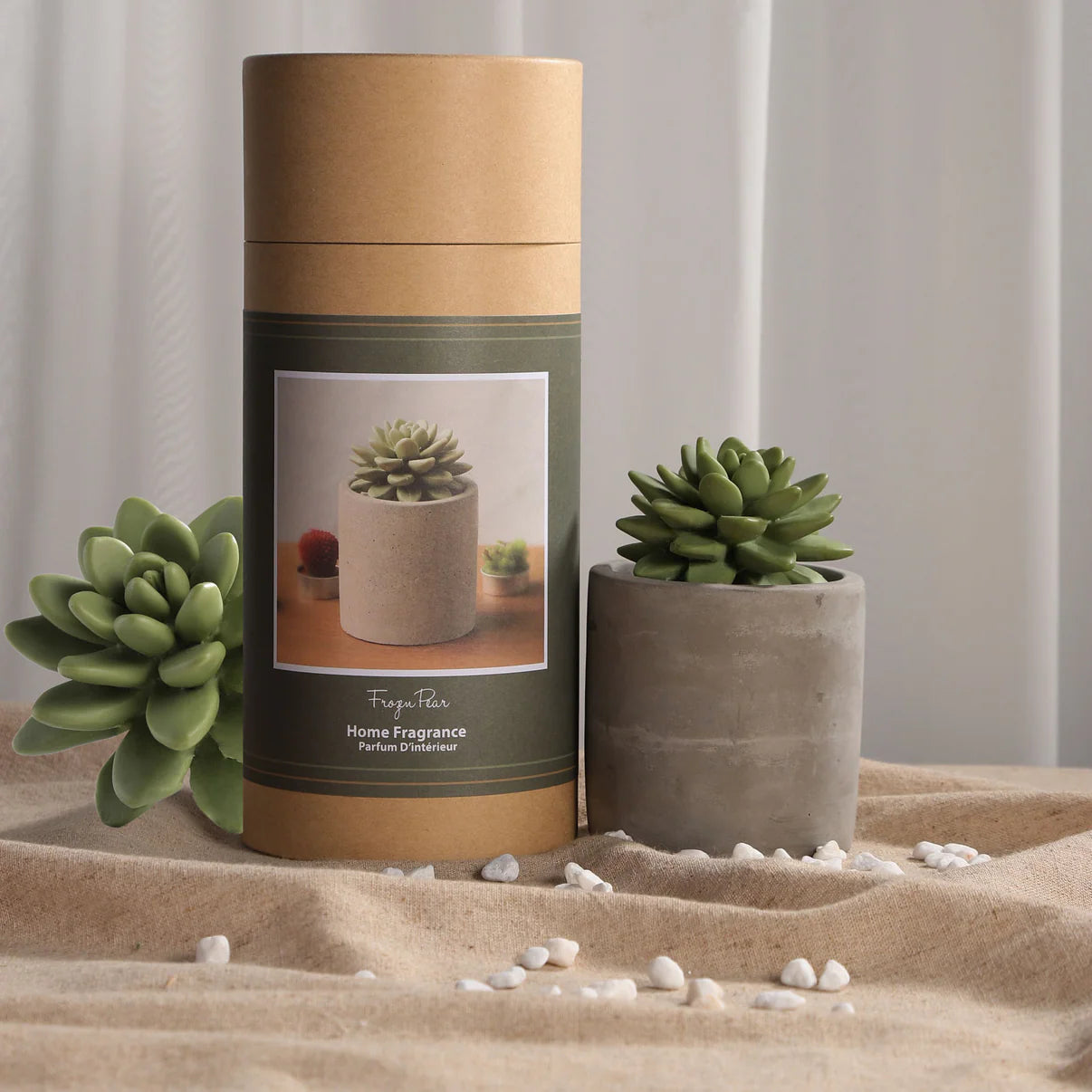 Succulent Diffuser Ceramic Planter Set - Frozen Pear