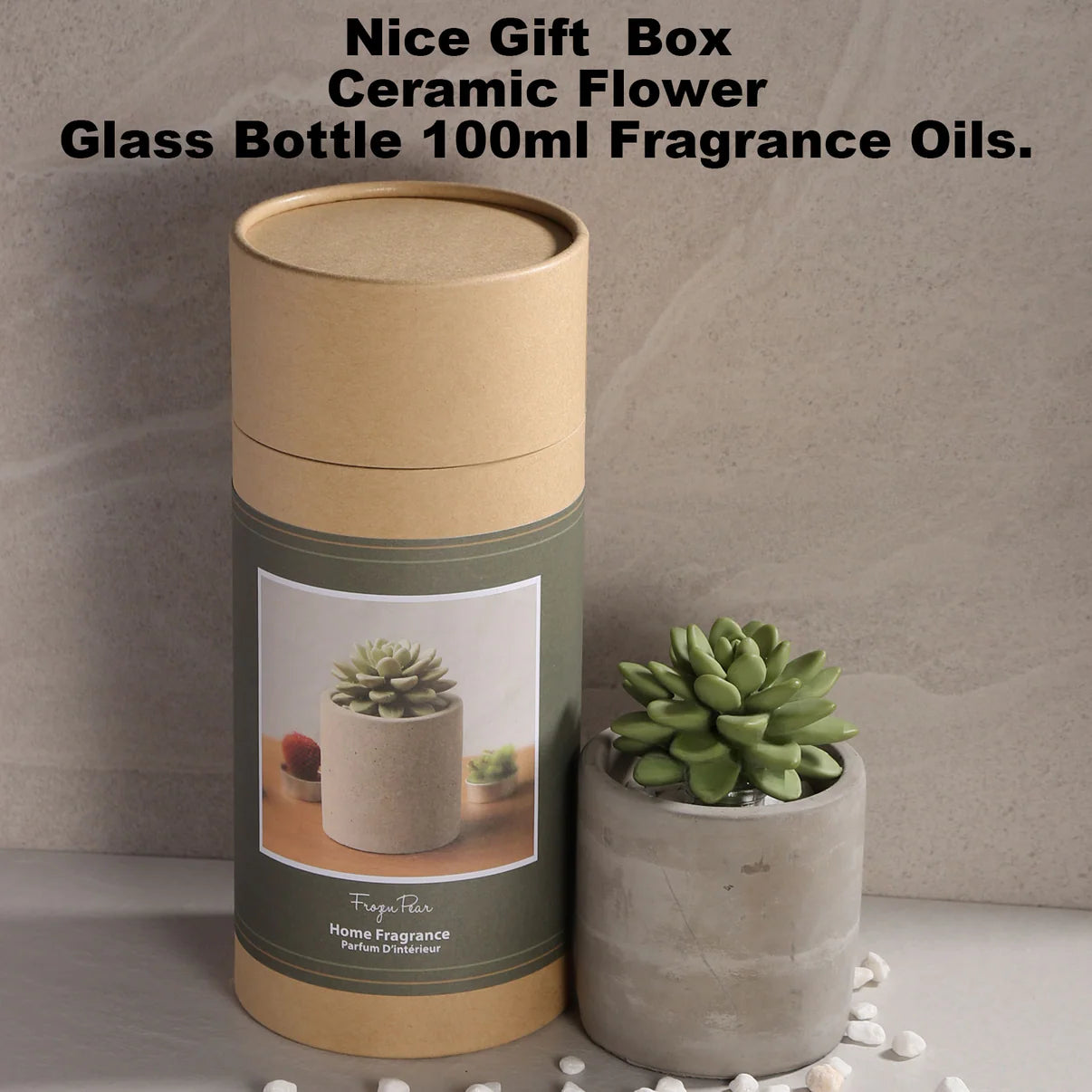 Succulent Diffuser Ceramic Planter Set - Frozen Pear