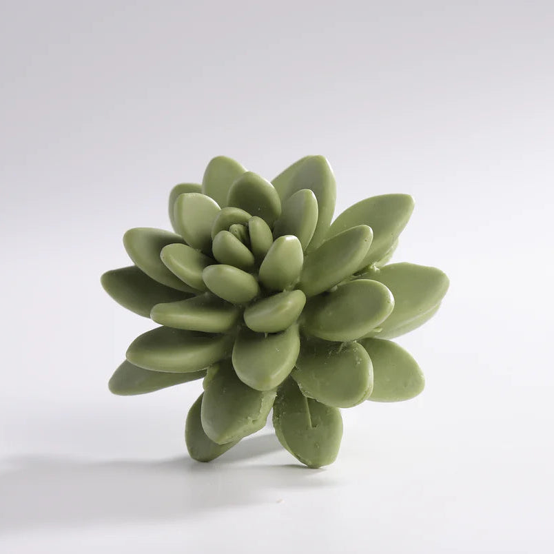 Succulent Diffuser Ceramic Planter Set - Frozen Pear