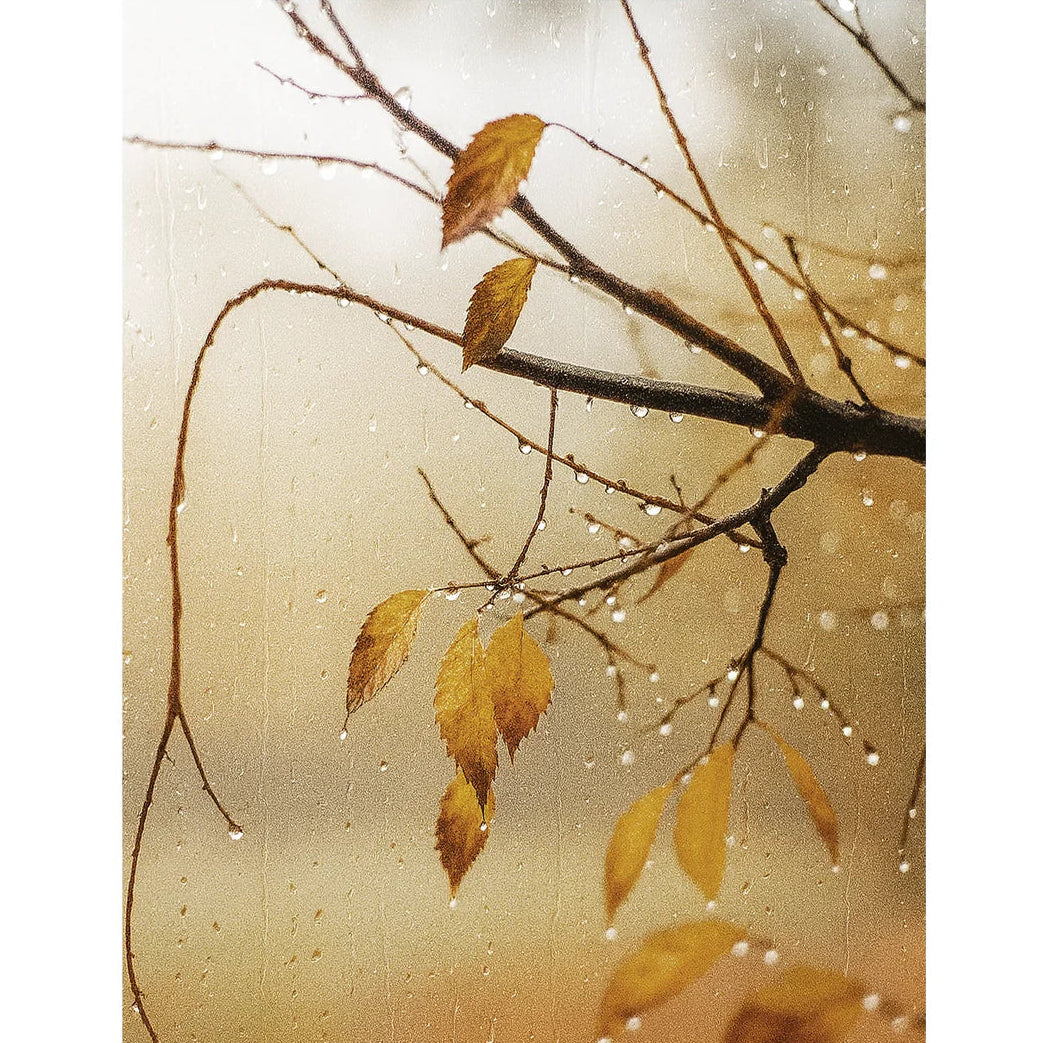 November Rain Aroma Oil