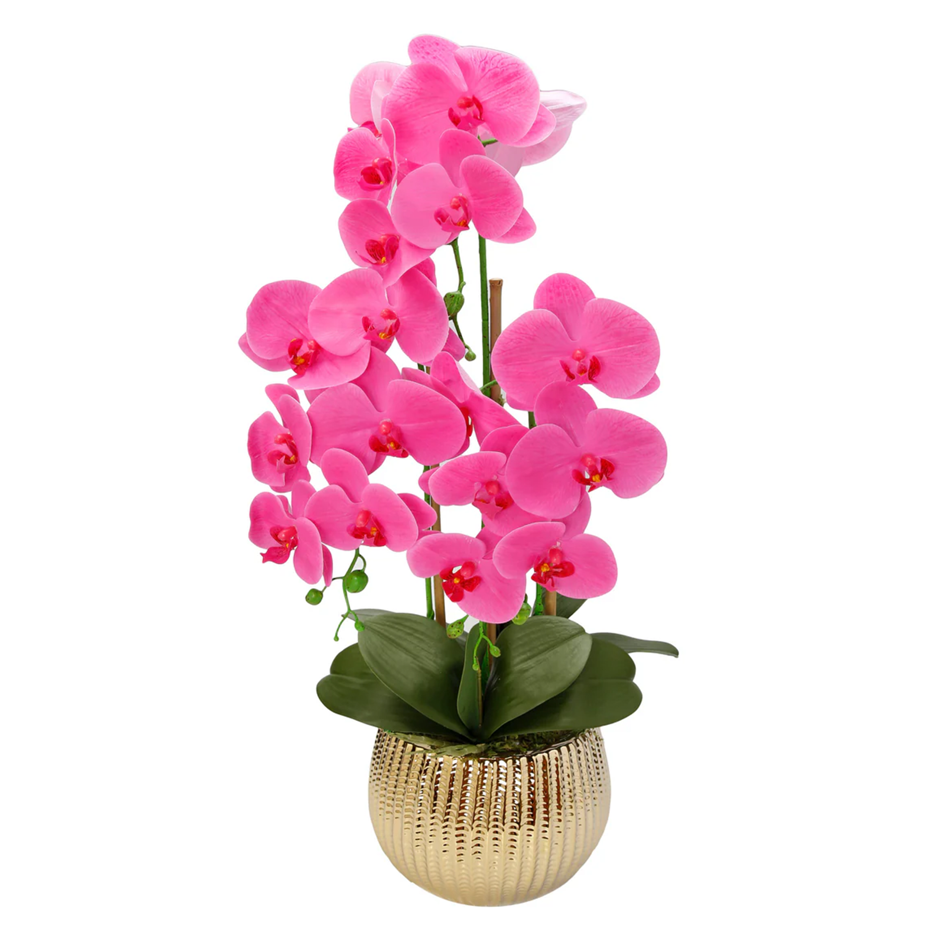 Pink Orchid Plant in Round Gold Striped Design Vase