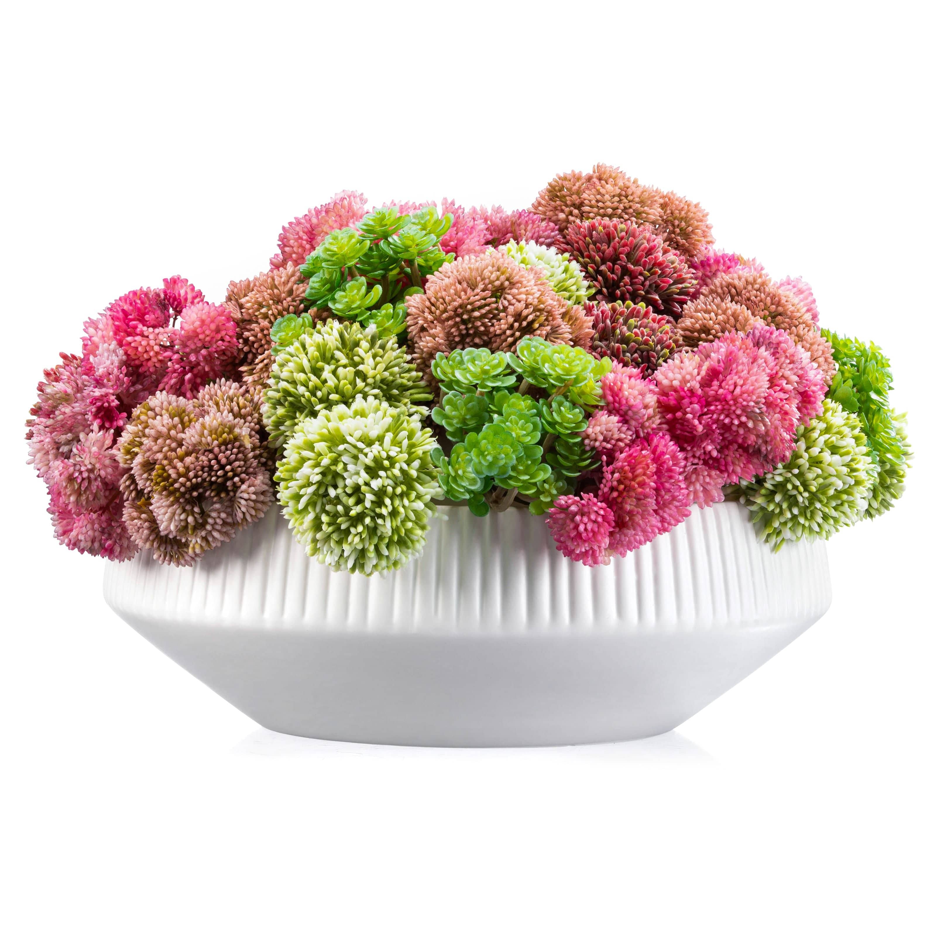 Succulent Pink White Flower Pot